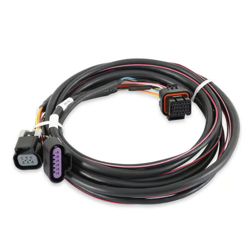 GM DBW HARNESS (558-406)