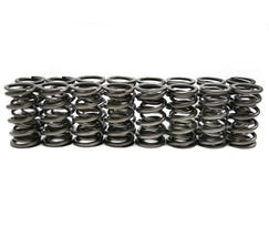 BTR DUAL SPRING SET