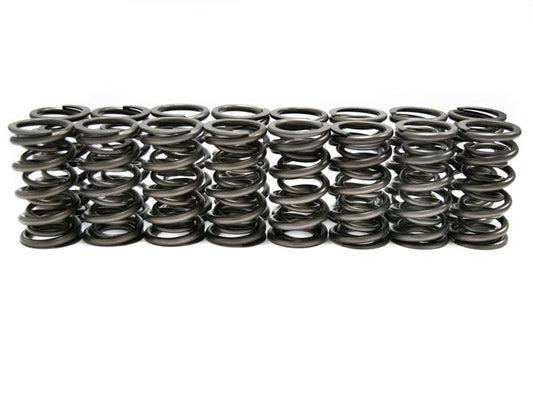 BTR DUAL SPRING SET SP010-16