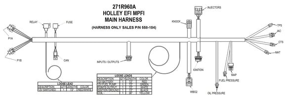 (550-604) Holley HP EFI ECU & Harness Kit